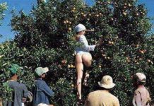 Um Conto Erótico > Aliviando os funcionários – Parte I