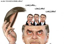 MACAQUINHOS NO SÓTÃO…