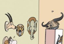 Quem não dá assistência, abre concorrência