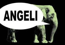 Sábados da Memória – Angeli – HQMIX TV