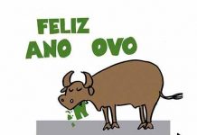 FELIZ ANO OVO