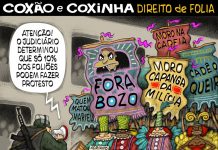 DIREITO DE FOLIA