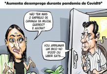 DESEMPREGO DURANTE PANDEMIA DE COVID-19