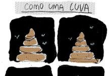 A ÚNICA COISA BEM DISTRIBUÍDA NO MUNDO É A BURRICE.