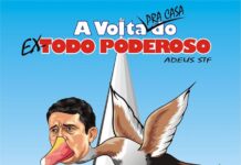 A VOLTA PRA CASA