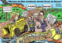SINISTRO DO MEIO ANBIENTE