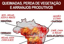 SUBSTITUIÇÃO DA NOMENCLATURA!
