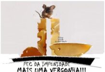 RATOS DE ESGOTO