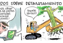 DESMATAMENTO