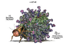 O VETOR