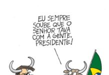 VIDA DE GADO