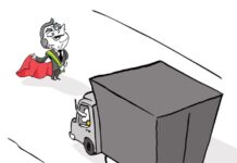 CAMINHONEIROS