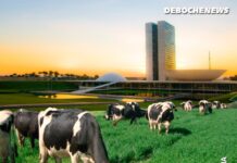 URGENTE! GADO BOLSONARISTA INVADE O GRAMADO DO CONGRESSO