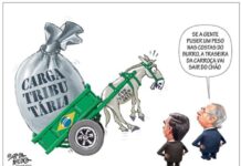 NEM BURRO AGUENTA