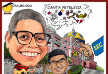 PORTO DE LENHA