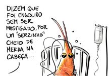 FORÇA, CAMARÃO!