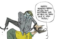 ENQUANTO ISSO, EM BOZOLÂNDIA….