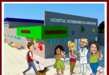 Jaraki Ticado > MUNDO ANIMAL EM FESTA