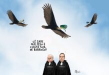 O RALHO da SEMANA > Urubuservando