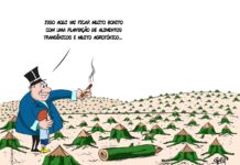 O RALHO do DIA >DESFLORESTAMENTO