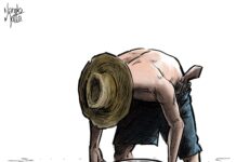 Onde estão Dom e Bruno?