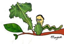 Mayrink > O RALHO do DIA