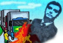 Análise Política >Bolsonaro é responsável direto pelo terrorismo das hordas fascistas