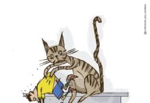 Charge >Gilmar – O RALHO do DIA