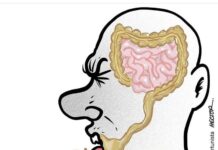 Charge >Hector – O RALHO do DIA