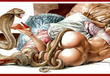 Sexolândia Sexy – Caçando mulheres bonitas que gostam de ripa!