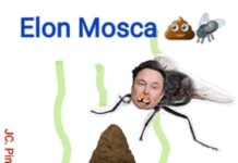 O RALHO do JC. PINHEIRO