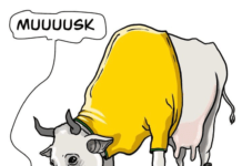 O RALHO do BRUNO >O gado bolsonarista vai para o matadouro