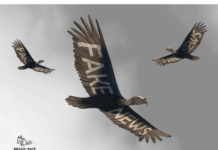 O RALHO da SEMANA >Saques, fake news e situação de calamidade formam combinação explosiva para pânico entre vítimas das enchentes do RS