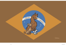 O RALHO da SEMANA >CRÔNICA DO ATHOS: Cavalo Caramelo