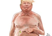 Suposto atentado: bolsonaristas inundam redes sociais com fake news sobre o episódio