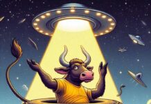 PIF PAF >O humor e a reflexão