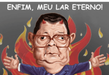 ANÁLISE POLÍTICA >DELFIM NETTO (1928-2014)