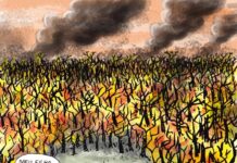 O RALHO da SEMANA >Se estão tocando fogo de propósito, o nome disso é terrorismo