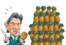 ANÁLISE POLÍTICA >Renúncias fiscais x corte de gastos: Haddad passa um sabão na mídia