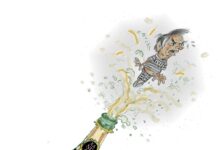 Em decisão que mandou Bolsonaro para a Papudinha, Moraes diz que prisão na PF não era “colônia de férias”