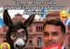 O RALHO do DIA > Argentinos recorrem à carne de burro contra a fome durante crise econômica no país